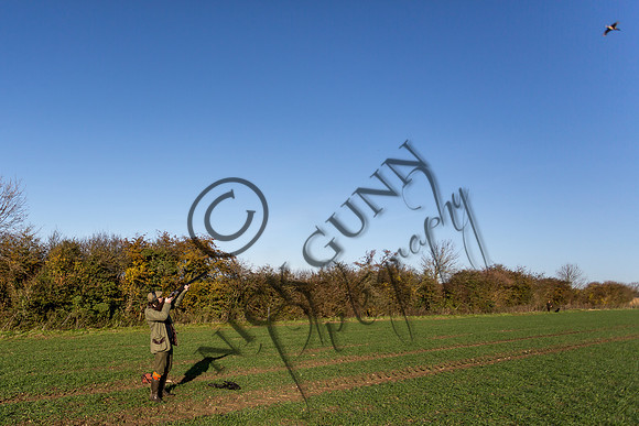 schwier shoot 11.17-22