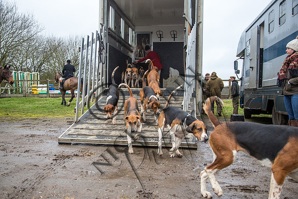 Essex Hunt 28.2.15-4
