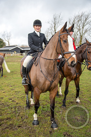 Essex Hunt 25.2.15-35
