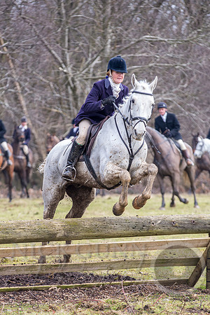 Essex Hunt 25.2.15-121