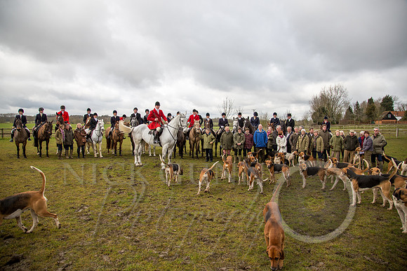 Essex Hunt 25.2.15-42