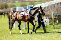 point to point 2015-17