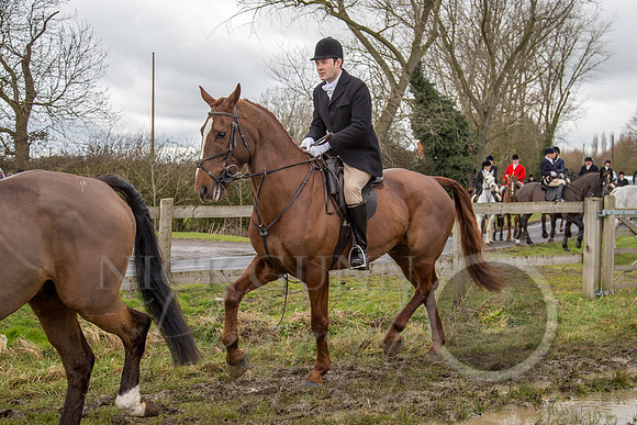 Essex Hunt 25.2.15-82