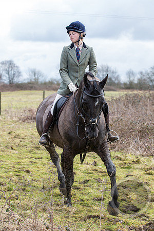 Essex Hunt 25.2.15-128