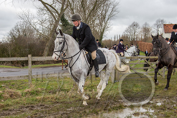 Essex Hunt 25.2.15-69