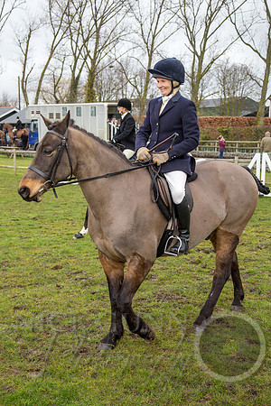 Essex Hunt 25.2.15-19