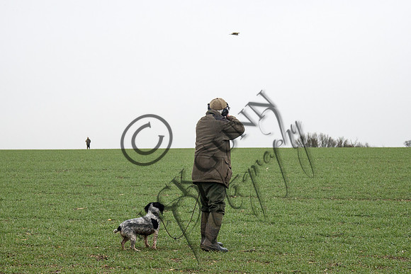 Beaters Shoot 17.1.15-21