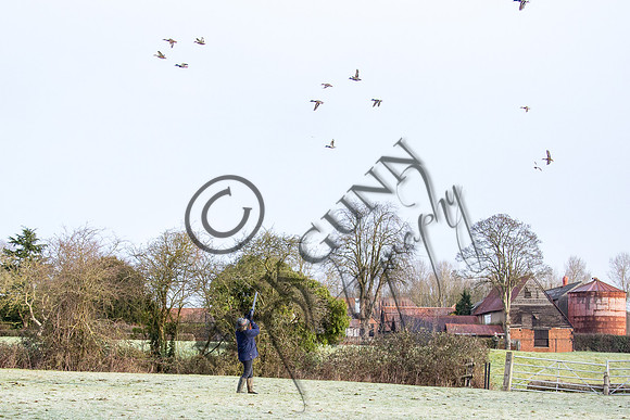 Beaters Shoot 17.1.15-4
