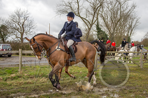 Essex Hunt 25.2.15-51