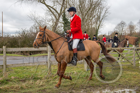 Essex Hunt 25.2.15-54