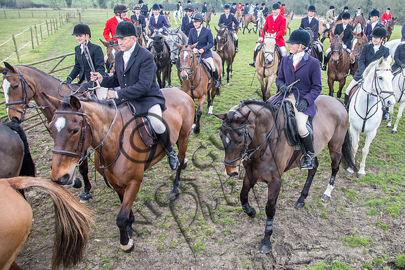 Essex Hunt 16.3.15-53