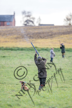 schwier shoot 11.17-75