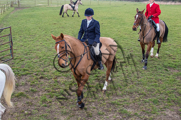 Essex Hunt 16.3.15-79