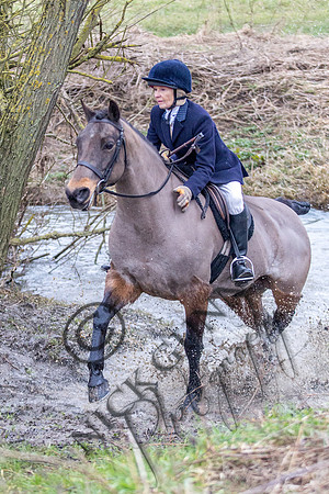 Essex Hunt 11.2.15-17