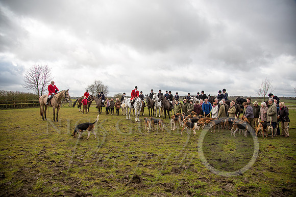 Essex Hunt 25.2.15-45