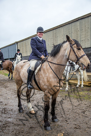Essex Hunt 28.2.15-14