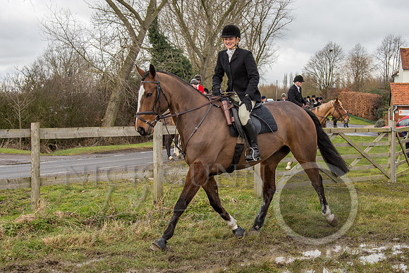 Essex Hunt 25.2.15-59
