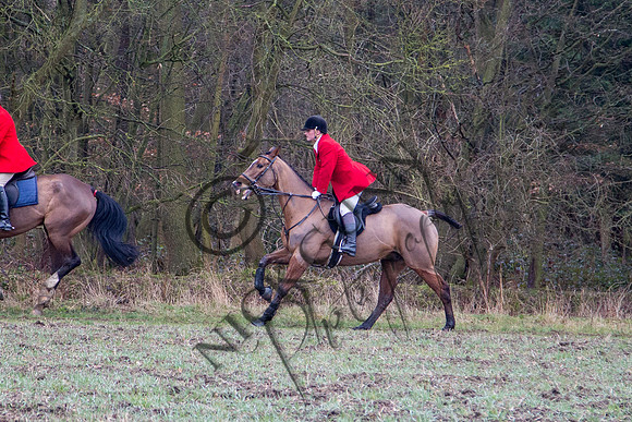 Essex Hunt 28.2.15-33