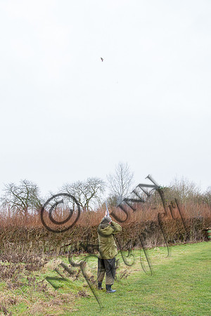 Beaters Shoot 17.1.15-24