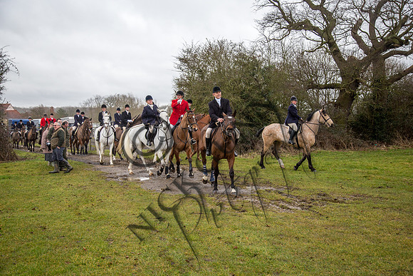 Essex Hunt 28.2.15-20