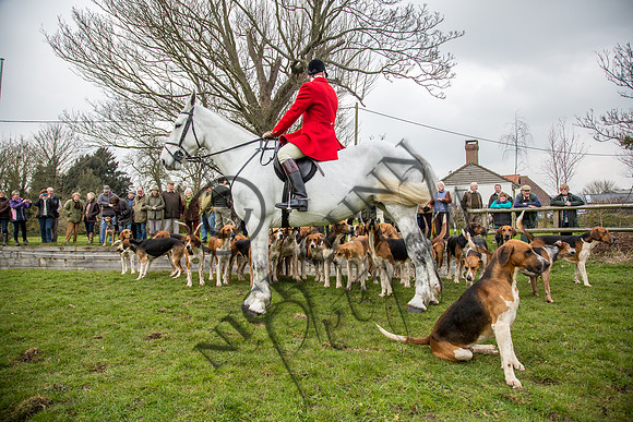 Essex Hunt 16.3.15-24