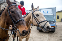 Essex Hunt 14.3.15-6