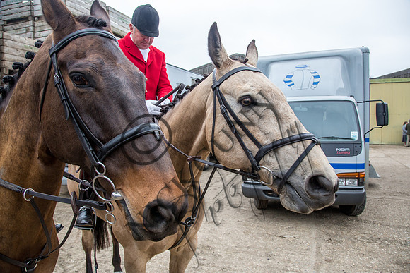 Essex Hunt 14.3.15-6