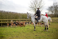 Essex Hunt 25.2.15-11
