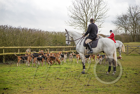 Essex Hunt 25.2.15-11