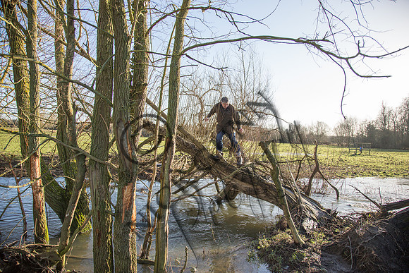 Sheering Shoot 13.1.15-4
