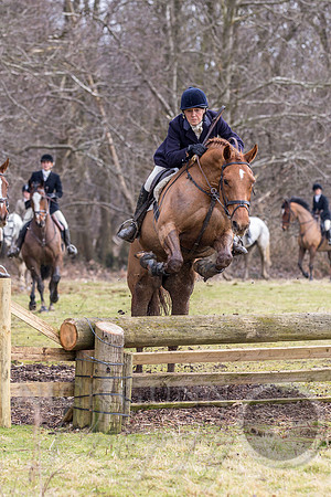 Essex Hunt 25.2.15-109