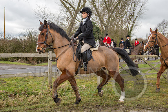Essex Hunt 25.2.15-53