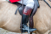 Essex Hunt 28.2.15-2