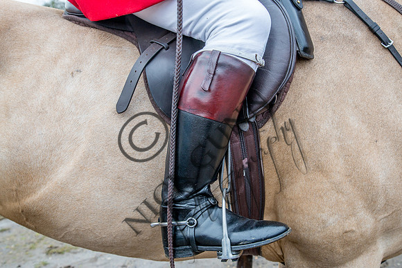 Essex Hunt 28.2.15-2