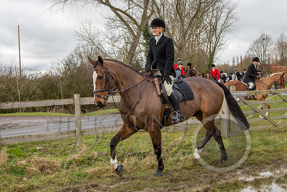 Essex Hunt 25.2.15-60