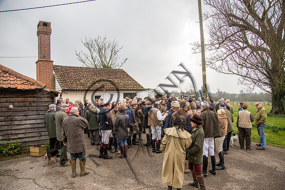 Essex Hunt 16.3.15-2