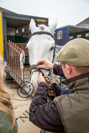Essex Hunt 11.2.15-2