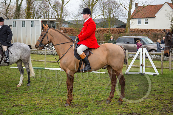 Essex Hunt 25.2.15-26
