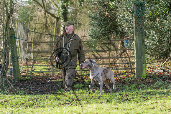 Sheering Shoot 13.1.15-14