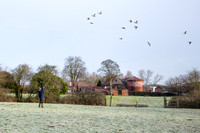 Beaters Shoot 17.1.15-3