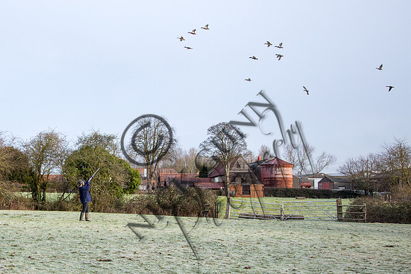 Beaters Shoot 17.1.15-3