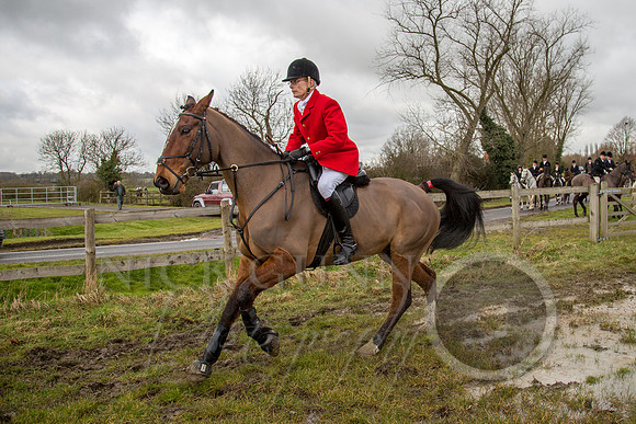 Essex Hunt 25.2.15-67