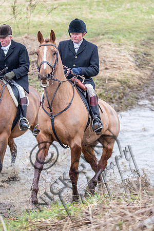 Essex Hunt 11.2.15-30