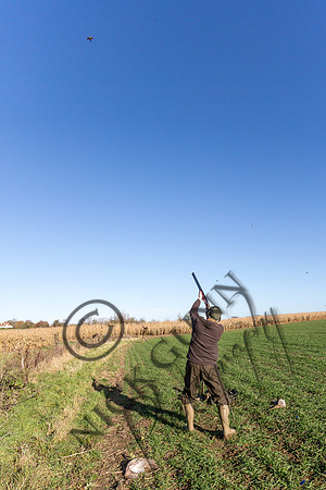 schwier shoot 11.17-47