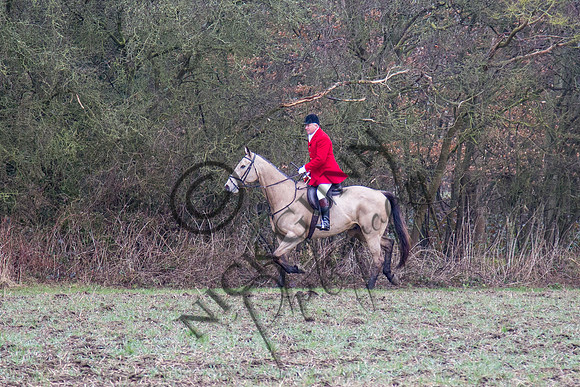 Essex Hunt 28.2.15-29