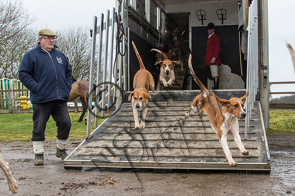 Essex Hunt 28.2.15-5