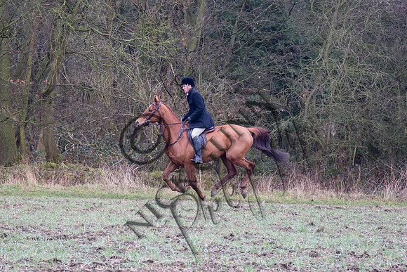 Essex Hunt 28.2.15-35