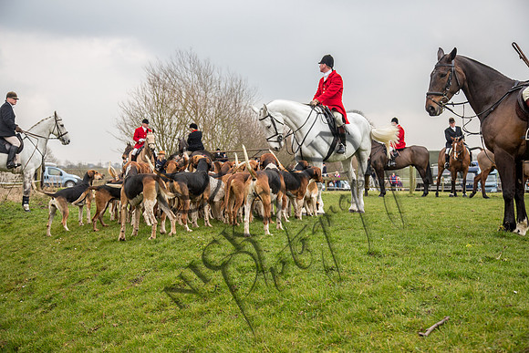 Essex Hunt 16.3.15-26