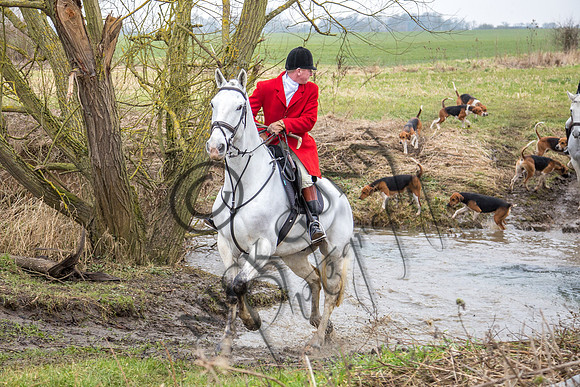 Essex Hunt 11.2.15-7