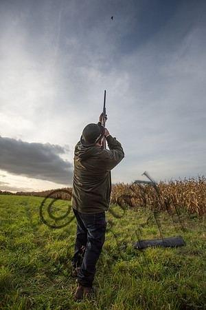 schwier shoot 11.17-72